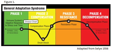 General Adaptation Syndrome Picture