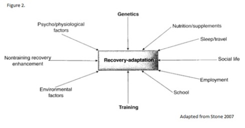 Stressors Affecting Recovery Picture